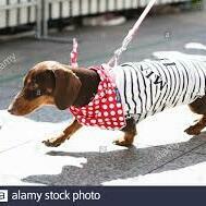 Team Page: Taking Care of Business